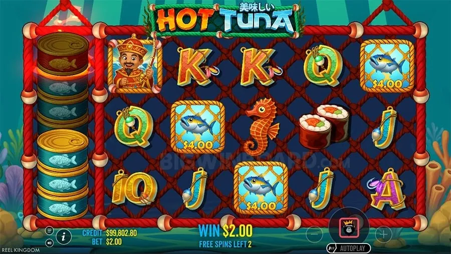 Play'n GO slot game with vibrant graphics